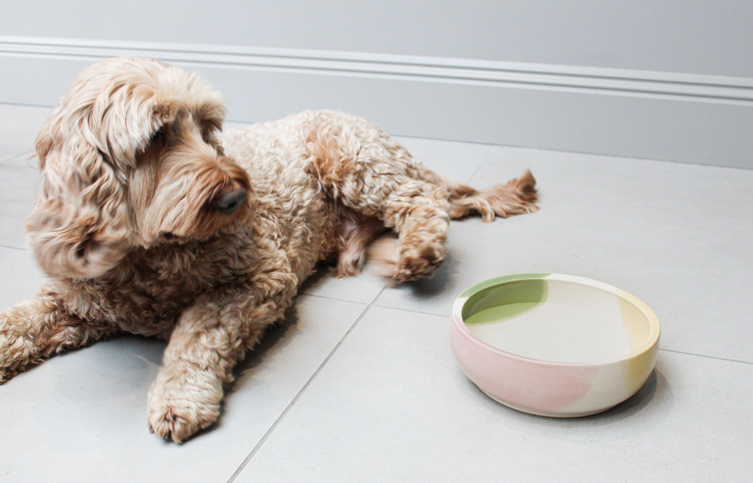 How to choose a dog bowl fit for a well-loved pooch?