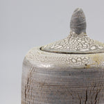 Load image into Gallery viewer, Earthy Textured Urn with Crackle Glaze
