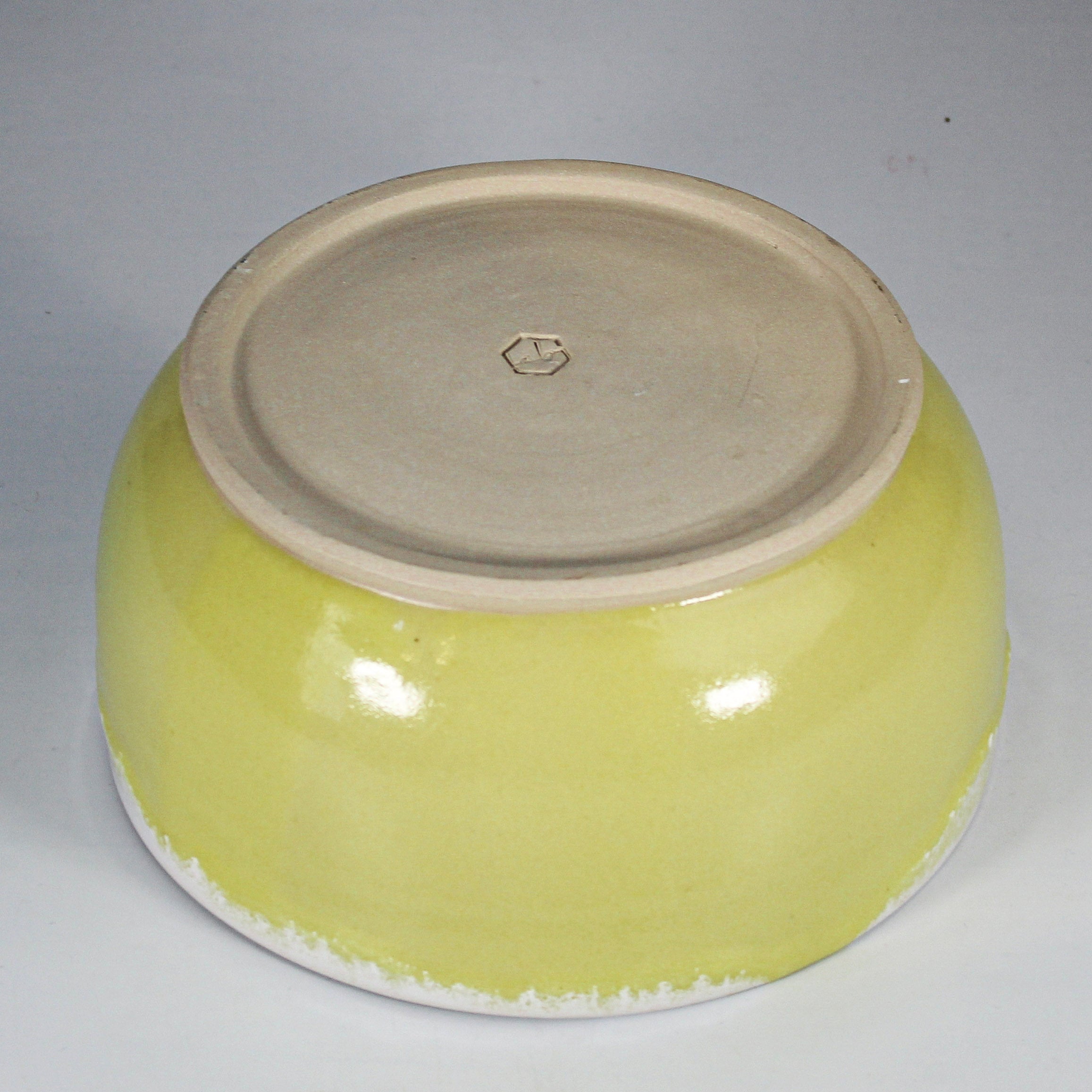 Yellow and White Bowl