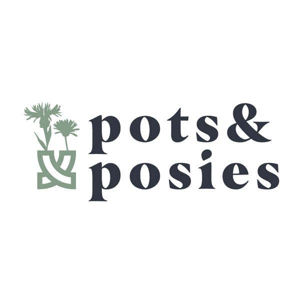 Slim porcelain vase with dried flowers Keeeps